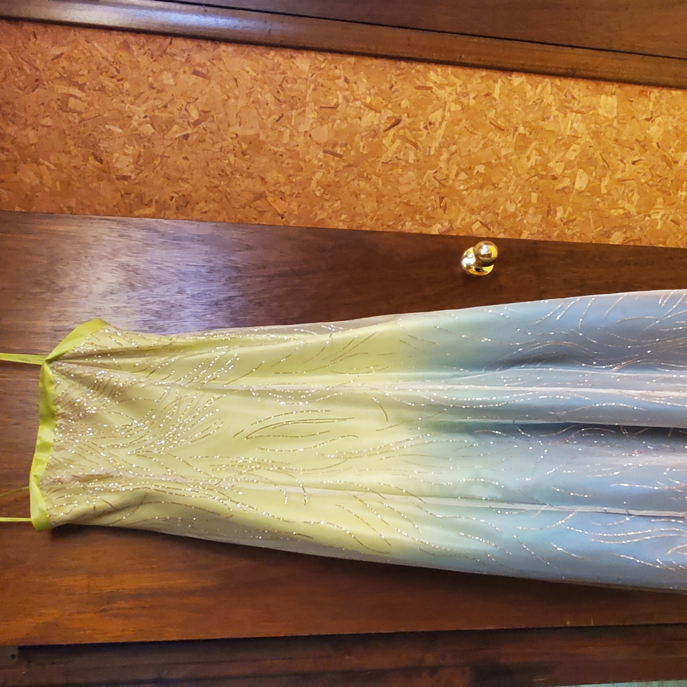 Elegant Strapless Ombre Dress